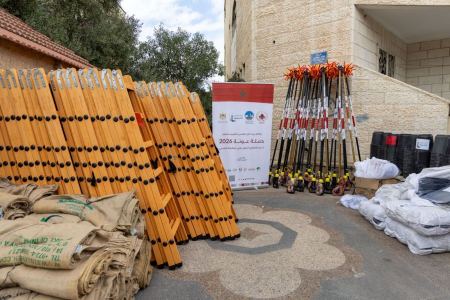 بدعم مغربي.. إطلاق حملة "عونة" لمساندة قاطفي الزيتون في القدس